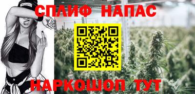 ГАЛЛЮЦИНОГЕННЫЕ ГРИБЫ Моздок