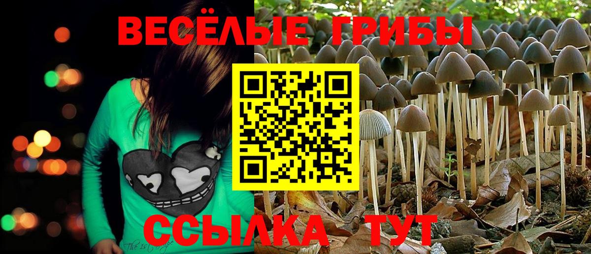 Галлюциногенные грибы Magic Shrooms Глазов