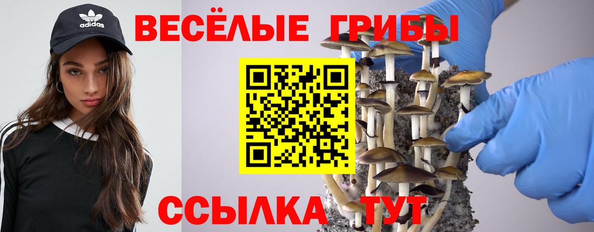 Галлюциногенные грибы мицелий  Вход с VPN  Глазов  Псилоцибиновые грибы Psilocybe 